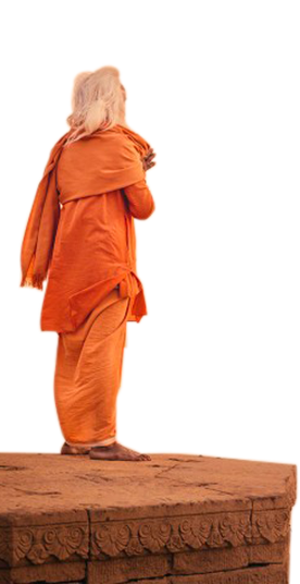 Chardham Sadhu